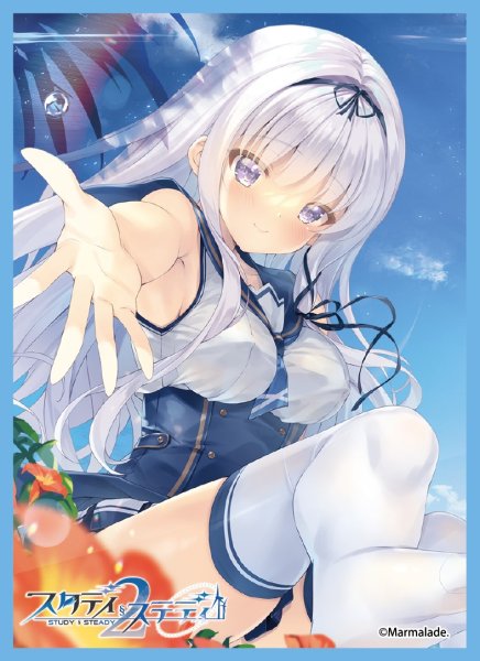 画像1: 【スリーブ】きゃらスリーブコレクションMT2095 ま〜まれぇど スタディ§ステディ2 墹之上 由乃 [3/28] (1)