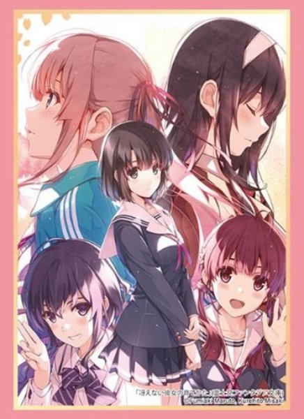 画像1: 【スリーブ】ブシロード スリーブHG4712 富士見ファンタジア文庫　『冴えない彼女の育てかた』 [4/25] (1)