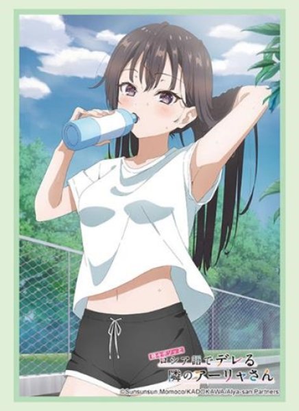 画像1: 【スリーブ】ブシロード スリーブHG4704 時々ボソッとロシア語でデレる隣のアーリャさん『有希』 [4/11] (1)