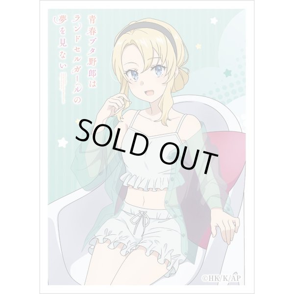 画像1: 【スリーブ】スリーブ 青春ブタ野郎はランドセルガールの夢を見ない 豊浜のどか ルームウェア [5月中旬] (1)