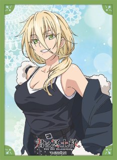 外装キズ/特価品》【スリーブ】ブロッコリーキャラクタースリーブ Fate