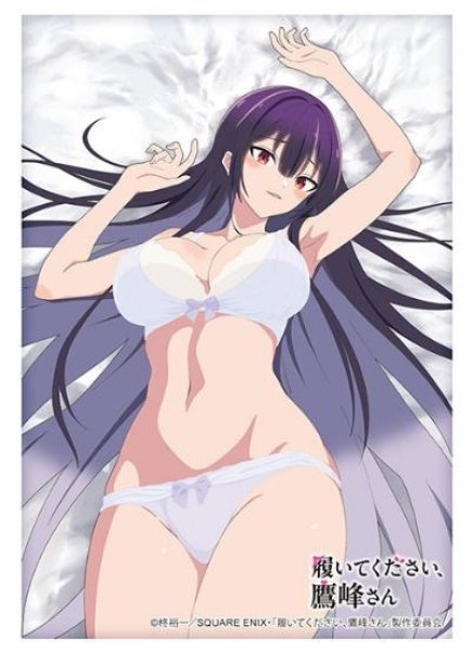 画像1: ※5月10日まで受付※【予約】ブシロードスリーブHG4837 TVアニメ「履いてくた?さい、鷹峰さん」『鷹峰高嶺』下着ver. [7/4] (1)
