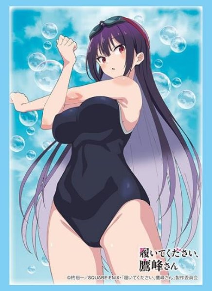 画像1: ※5月10日まで受付※【予約】ブシロードスリーブHG4838 TVアニメ「履いてくた?さい、鷹峰さん」『鷹峰高嶺』水着ver. [7/4] (1)