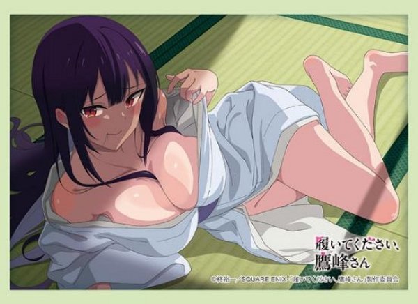 画像1: ※5月10日まで受付※【予約】ブシロードスリーブHG4839 TVアニメ「履いてくた?さい、鷹峰さん」『鷹峰高嶺』着物ver. [7/4] (1)