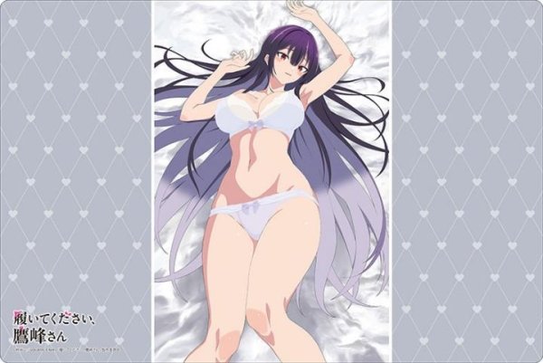画像1: ※5月10日まで受付※【予約】ブシロードラバーマットV2・1735 TVアニメ「履いてくた?さい、鷹峰さん」『鷹峰高嶺』下着ver. [7/4] (1)