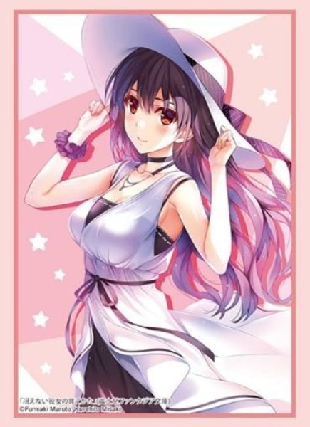 スリーブ】ブシロードスリーブHG4477 富士見ファンタジア文庫