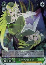 GT/W29】幻影ヲ駆ケル太陽ヴァイスシュヴァルツ：ヴァイスサイド通販