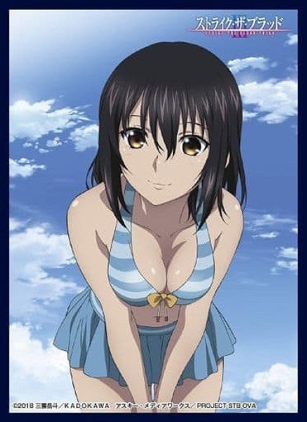 画像1: 【スリーブ】クロックワークス スリーブコレクションvol.4 ストライク・ザ・ブラッド『姫柊 雪菜』【65枚入り】 (1)