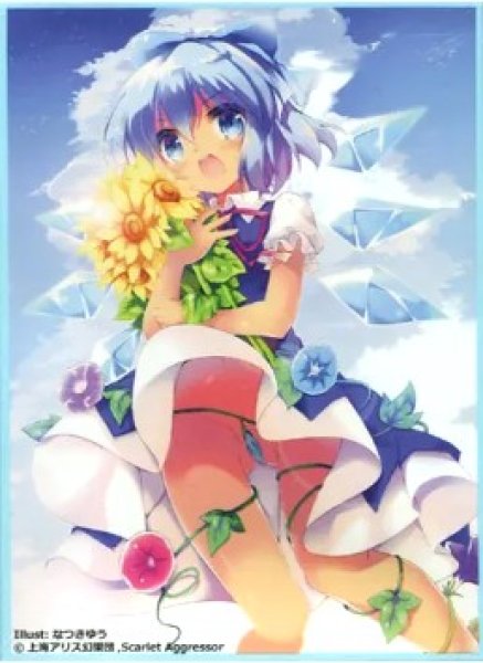 画像1: 《外装汚れ》【スリーブ】東方Project『チルノ』 (1)