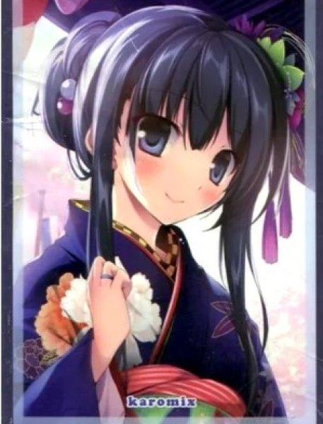 画像1: 《外装汚れ》【スリーブ】来雪ちゃん(karory) (1)
