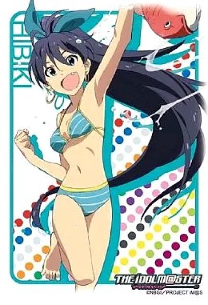画像1: 《開封済》【スリーブ】ブシロードスリーブコレクション ハイグレード Vol.336 アニメ アイドルマスター『我那覇 響』【60枚入り】 (1)