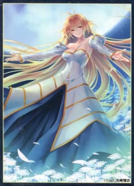 画像1: 【スリーブ】 月姫『真祖アルクェイド』 (1)