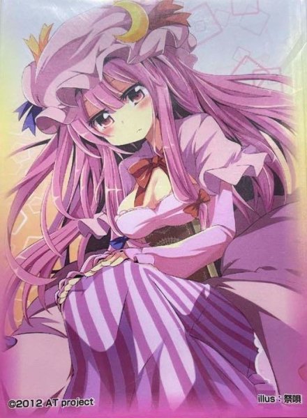 画像1: 《開封済み》【スリーブ】東方Project 夢幻公式スリーブコレクション vol.5 「パチュリー・ノーレッジ」【50枚入り】 (1)