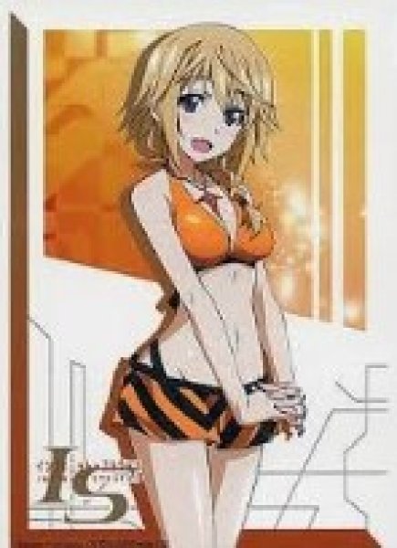 画像1: 《外装汚れ》【スリーブ】 IS   『シャルロット・デュノア』 (1)