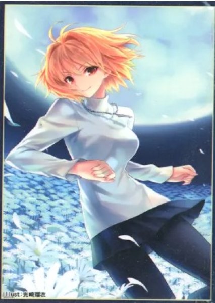 画像1: 【スリーブ】 月姫『アルクェイド』 (1)