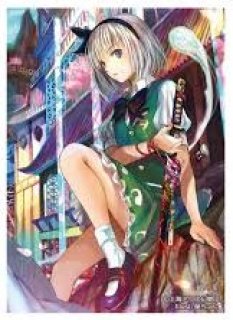 スリーブ】東方Project 藤ちょこ先生描き下ろしスリーブ （魂魄