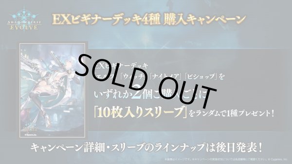 画像2: [新品]シャドウバース エボルヴ EXビギナーデッキ 「ナイトメア」[キャンペーンあり] [11/21] (2)