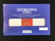 画像1: 《未開封》【ポケカ】ビクティニ(BWR仕様/当選通知書付き)【-】PROMO 288/SV-P (1)