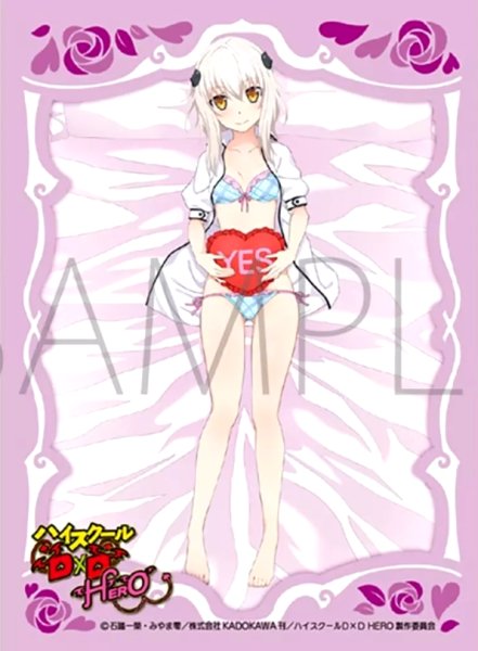 画像1: 【スリーブ】きゃらスリーブコレクション マットシリーズ 「ハイスクールD×D HERO」 塔城小猫 [No.MT1873]【65枚入り】 (1)