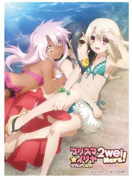 画像1: 【スリーブ】カーテン魂 Fate/kaleid liner プリズマ☆イリヤ ツヴァイ ヘルツ！ スリーブ イリヤ＆美遊＆クロエ/水着  (1)