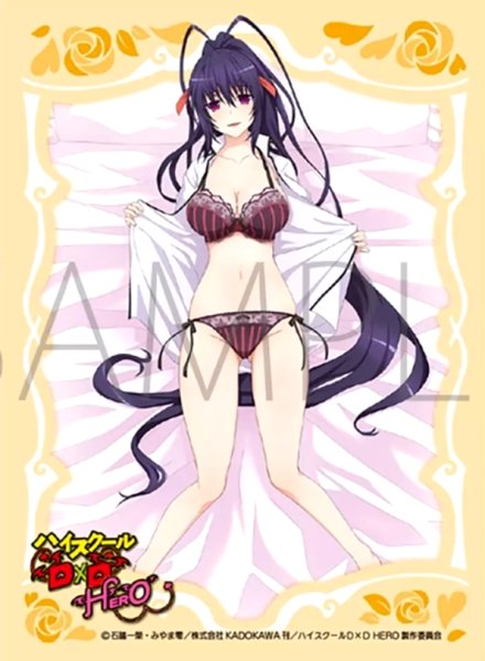 画像1: 【スリーブ】きゃらスリーブコレクション マットシリーズ 「ハイスクールD×D HERO」 姫島朱乃 [No.MT1872]【65枚入り】 (1)