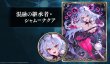 画像1: 【SV】アプリ『Shadowverse: Worlds Beyond』特典シリアルコード[シャム=ナクア]【-】BP20 (1)