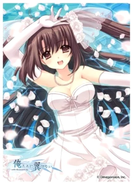 画像1: 【スリーブ】きゃらスリーブコレクション マットシリーズ 俺たちに翼はない 「渡来明日香」 [No.MT1105] (1)