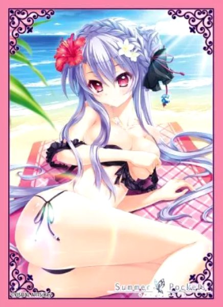 画像1: 【スリーブ】E-2 Summer Pockets 『空門蒼』 キャラクタースリーブEX 「ブロッコリー トレカアイテムくじSP 『ビジュアルアーツ 第2弾』」 E賞 (1)