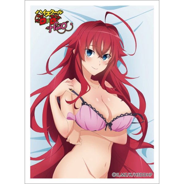 画像1: 【スリーブ】スリーブ ハイスクールD×D HERO リアス・グレモリー [26年2月上旬] (1)
