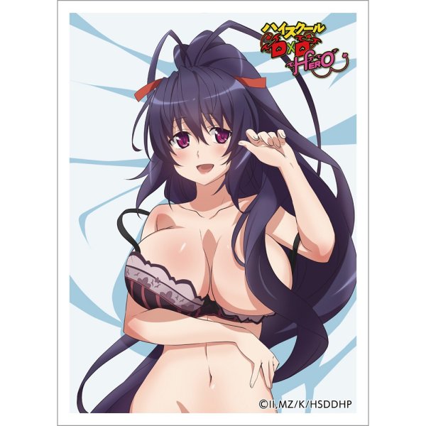 画像1: 【スリーブ】スリーブ ハイスクールD×D HERO 姫島朱乃 [26年2月上旬] (1)