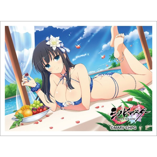 画像1: 【スリーブ】スリーブ シノビマスター 閃乱カグラ NEW LINK 斑鳩／人気投票爆乳祭 [26年2月上旬] (1)