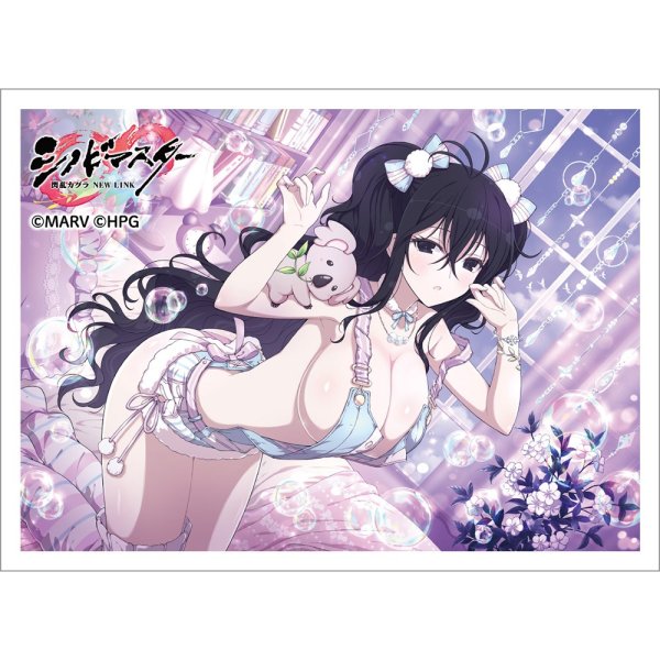 画像1: 【スリーブ】スリーブ シノビマスター 閃乱カグラ NEW LINK 雪不帰／新乳祭・弐 [26年2月上旬] (1)