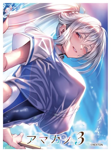 画像1: 【スリーブ】きゃらスリーブコレクションMT2283 ネクストン アマカノ3 御所院冬樺 [2601/23] (1)