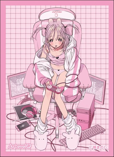 画像1: ※7月18日まで受付※【予約】Arteveloカードスリーブ art-030 棉きのし　「USAPYON」 [2609/11] (1)