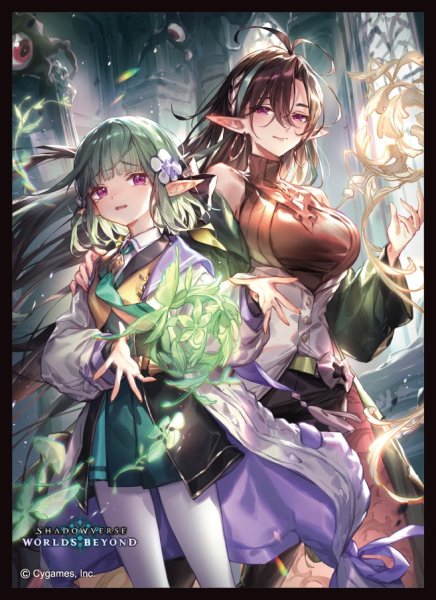 画像1: 【予約】きゃらスリーブコレクションMT2455 Shadowverse: Worlds Beyond 「飛躍の姉妹・ベルディリア＆カステル」 [2609/18] (1)