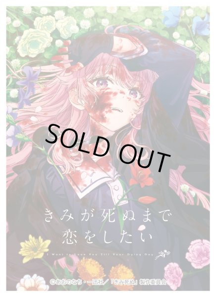 画像1: ※9/26まで受付※【予約】きゃらスリーブコレクションMT2493  「きみが死ぬまで恋をしたい」 カガリ・ミミ [2611/27] (1)