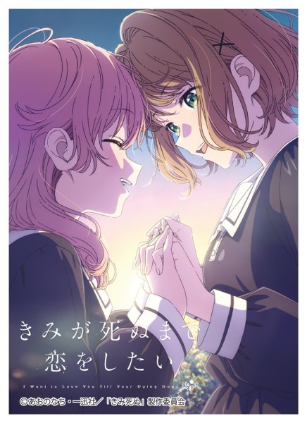 画像1: ※9月26日まで受付※【予約】きゃらスリーブコレクションMT2494  「きみが死ぬまで恋をしたい」 ミミ＆シーナＡ [2611/27] (1)