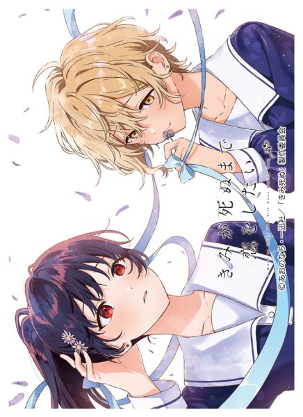 画像1: ※9月26日まで受付※【予約】きゃらスリーブコレクションMT2496  「きみが死ぬまで恋をしたい」 セイラン＆アリ [2611/27] (1)