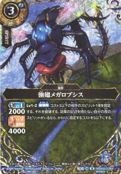 画像1: 【BS】強翅メガロプシス〔SECRET〕【M】26RBS03-064 (1)