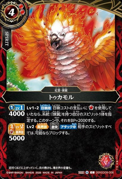 画像1: 【BS】トゥカモル【C】26RSD09-006 (1)