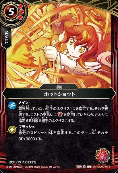 画像1: 【BS】ホットショット【C】26RSD09-013 (1)