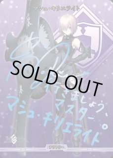 Fate/Grand Order 妖精円卓領域 アヴァロン・ル・フェビル
