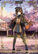画像1: 【BDB】BBプレゼンツ☆セレブサマー・エクスペリエンス！ / 岸波白野【MN】BB-FGO3-002dMT (1)