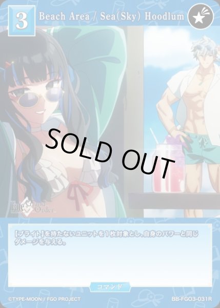 画像1: 【BDB】Beach Area / Sea(Sky) Hoodlum【R】BB-FGO3-031R (1)