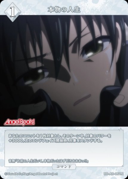画像1: 【BDB】本物の人生【N】BB-AB-061N (1)