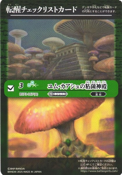 画像1: 【BS】転醒チェックリストカード[ユム・カアシュの粘菌神殿/BS73-067]【-】(BS73収録/2025年度)〈12〉 (1)