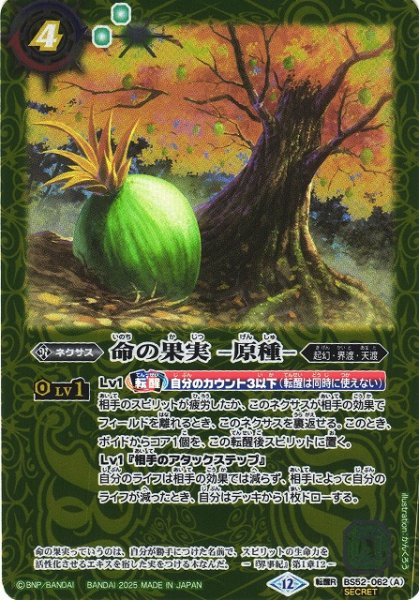 画像1: 【BS】命の果実 -原種-/命の果実の精ドライアッド【転醒R/[SECRET]】(BSC47収録/2025年度)〈12〉BS52-062 (1)