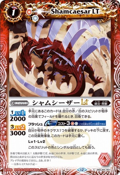 画像1: 【BS】シャムシーザーLT【C】(BSC49収録/2025年度)〈12〉BSC49-001 (1)