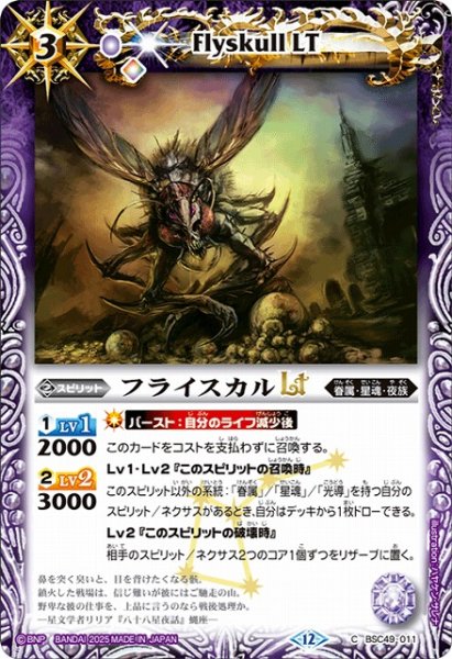 画像1: 【BS】フライスカルLT【C】(BSC49収録/2025年度)〈12〉BSC49-011 (1)