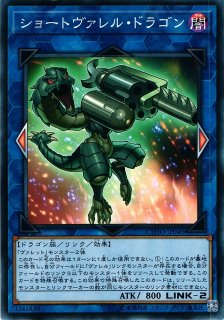 遊戯】セイヴァー・スター・ドラゴン【ホログラフィック/☆10】SOVR